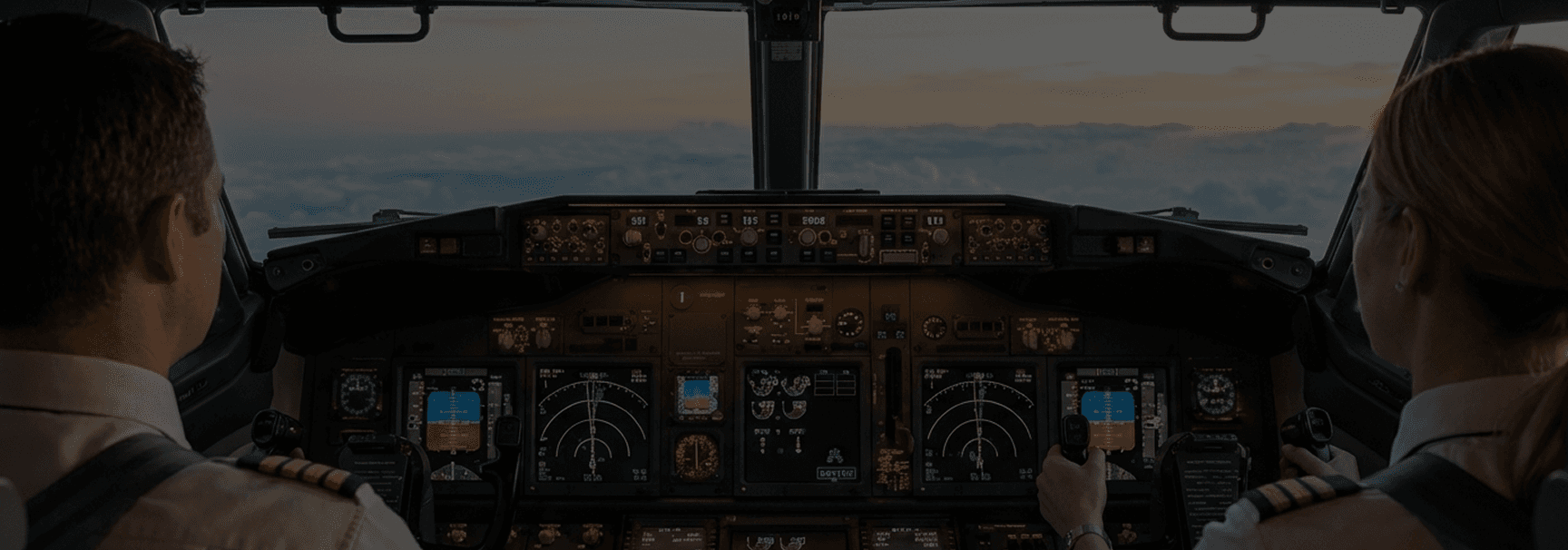 Cockpit view